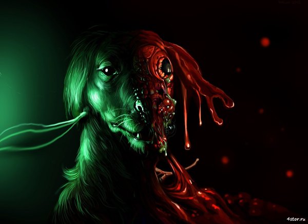 Череп собаки тату