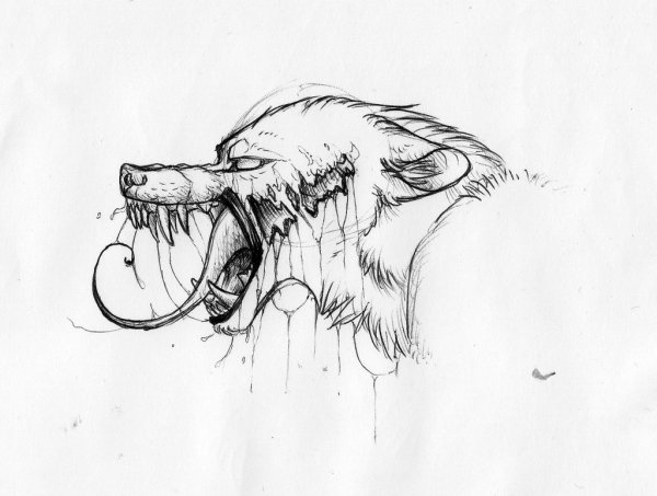 Адская гончая черный Шак