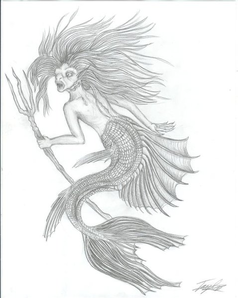 Русалка графический рисунок