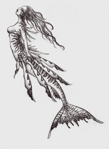 Раскраска сирены