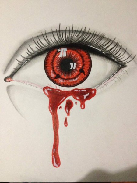 Паук рисунок карандашом для срисовки