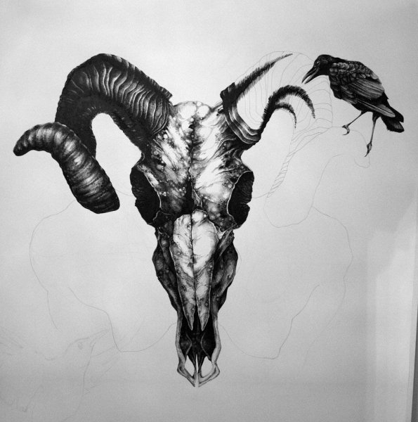 Знаки зодиака художник Damon Hellandbrand Козерог