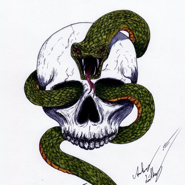 Череп со змеей