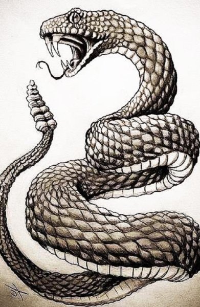 Тату змея