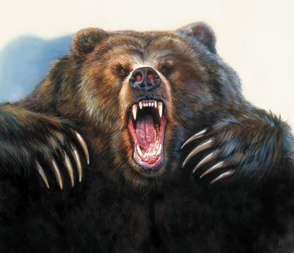 Злой белый медведь