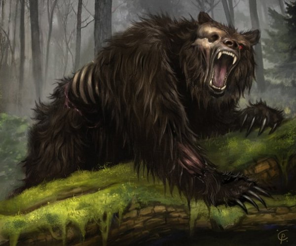 Медведь эскиз