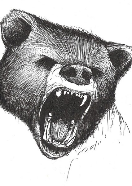 Злой медведь арт