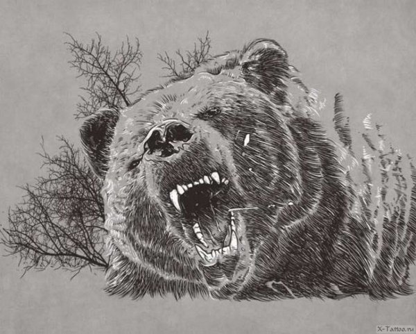 Оскал медведя эскиз