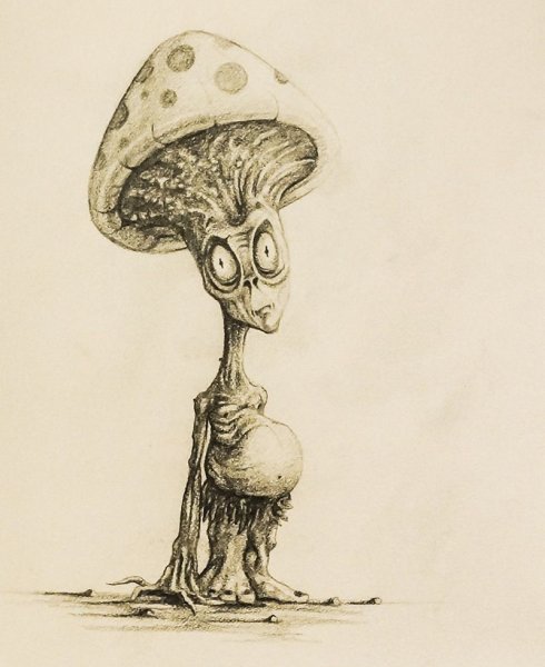 Грибы психоделики