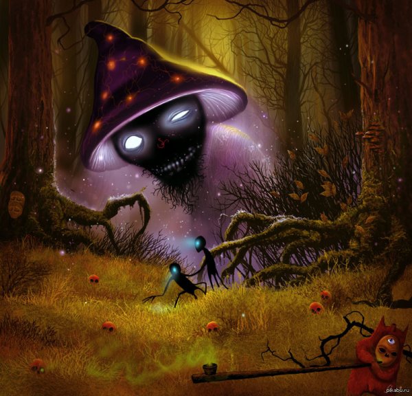 Мухоморы психоделика