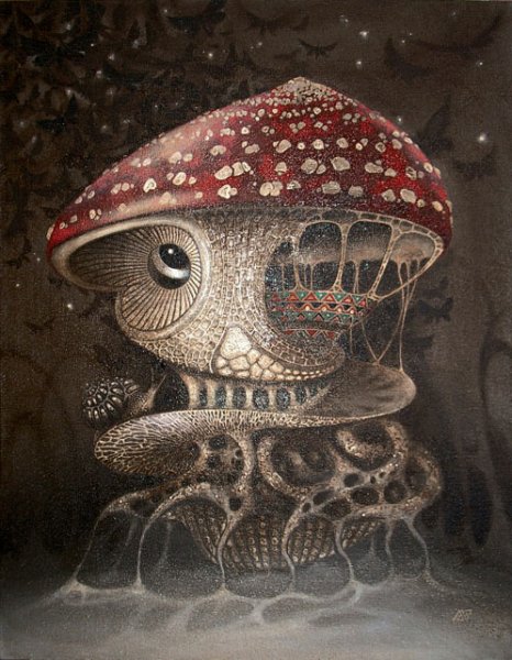 Аманита Мускария психоделика арт