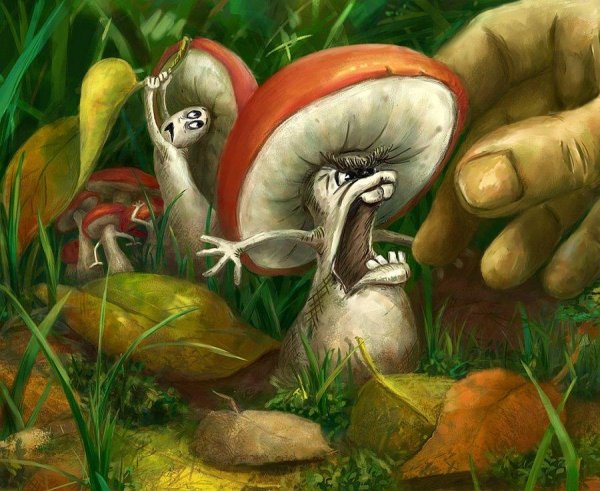 Живые грибы: