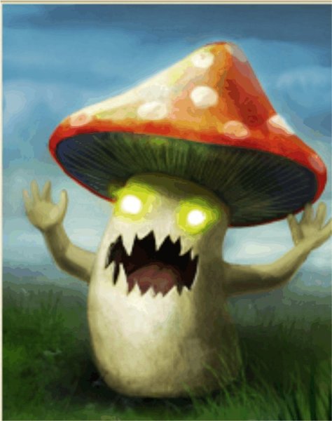 Царство грибы- Mycota