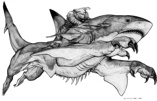 Акула зарисовка