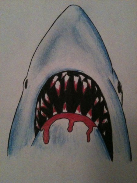 Тату пасть акулы эскизы