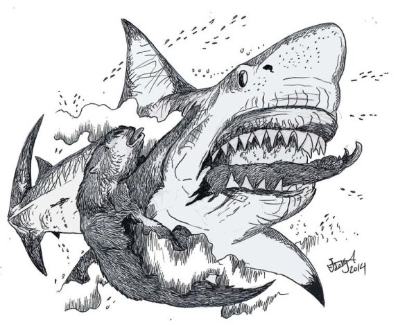 Акула карандашом