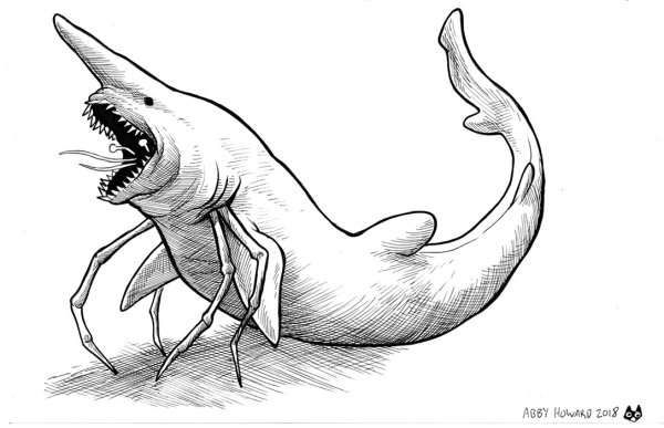 Раскраска МЕГАЛОДОНА