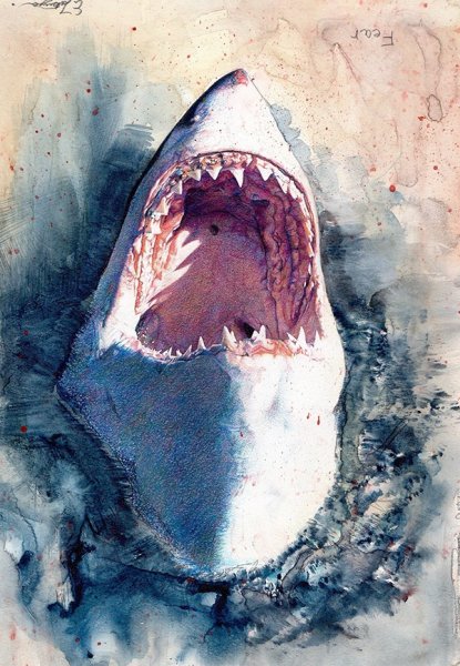 Раскраска акула МЕГАЛОДОН