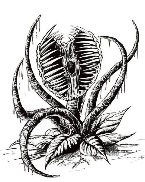 Красивый череп