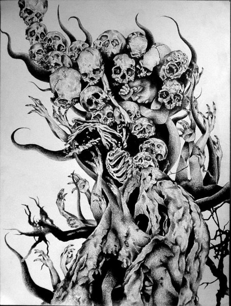 Мандрагора Поттер