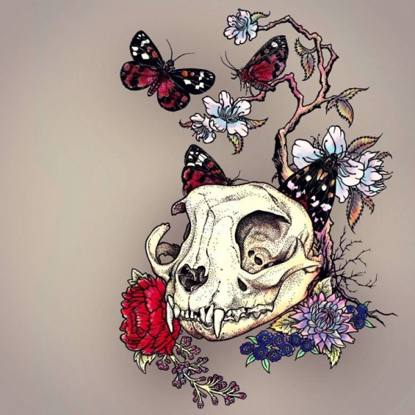 Череп с цветами