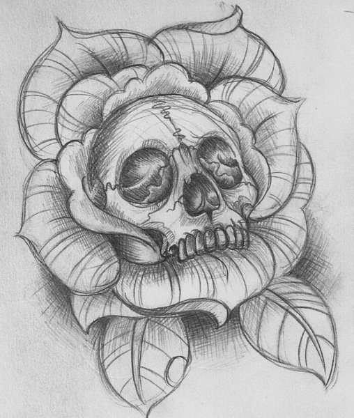 Череп кошки тату