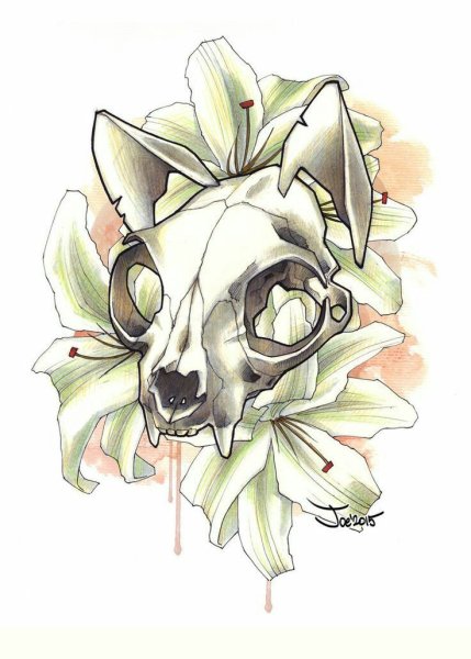 Череп с цветами карандашом