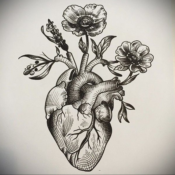 Венерина мухоловка Art