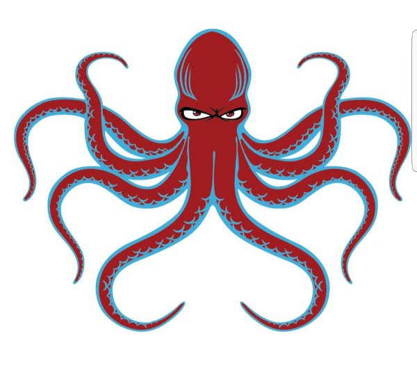 Злой осьминог