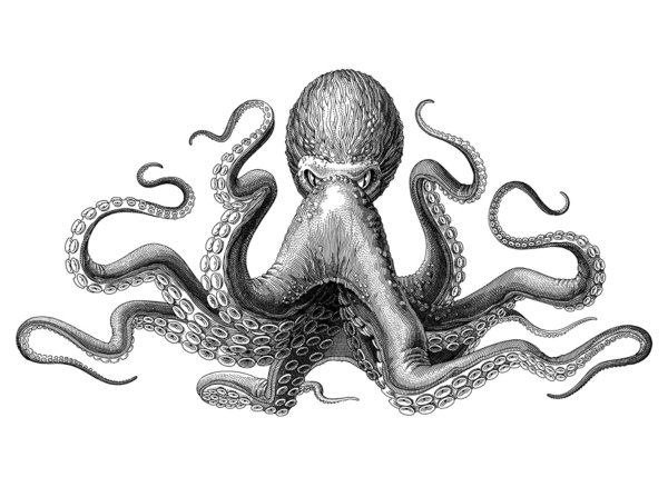 Кракен щупальца Illustrator