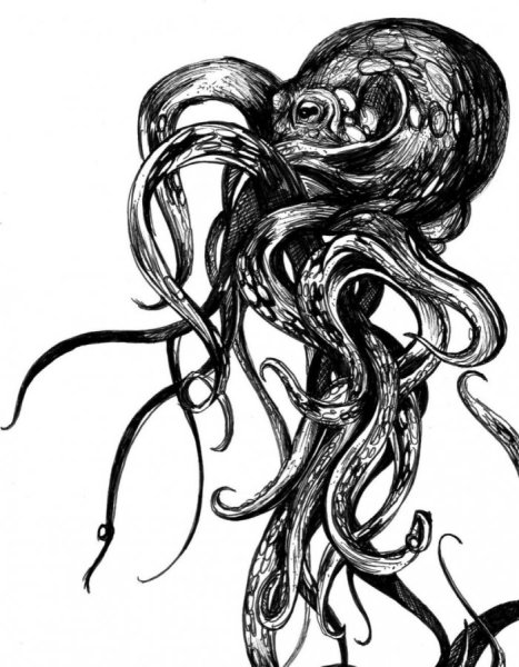 Кракен Графика