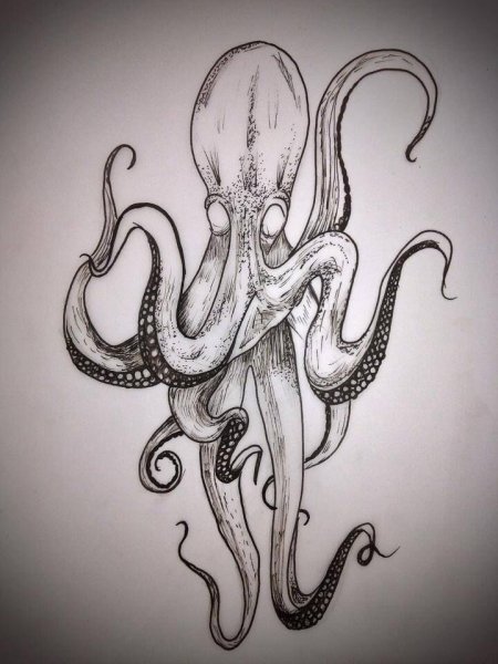Осьминог Кракен