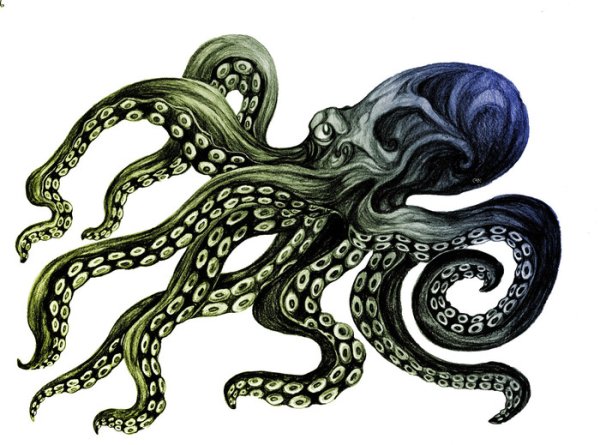 Щупальца осьминога