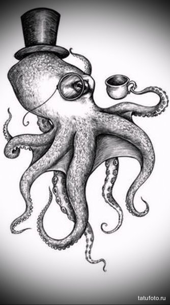 Кальмарный Кракен Кракен