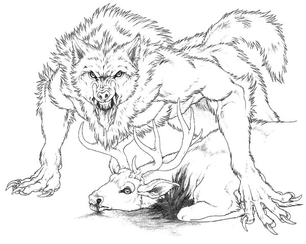 Вервольф раскраска