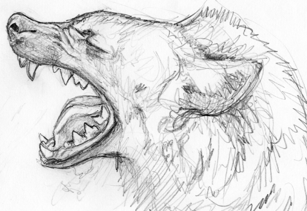 Гиена карандашом