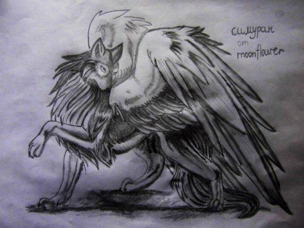 Крылатый волк карандашом