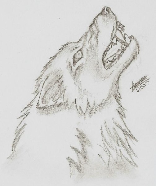 Рисунки злых Волков карандашом