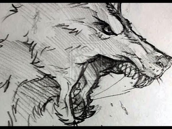 Скетчи злых Волков