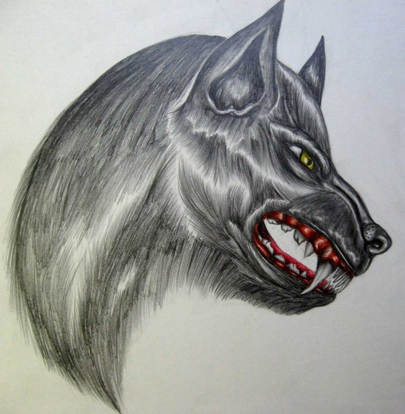 Злобные рисунки