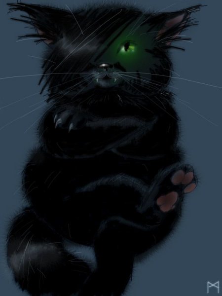 Кот сатанист