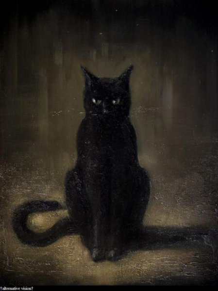 Улыбка черного кота