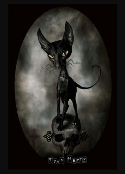 Кошка дьявол