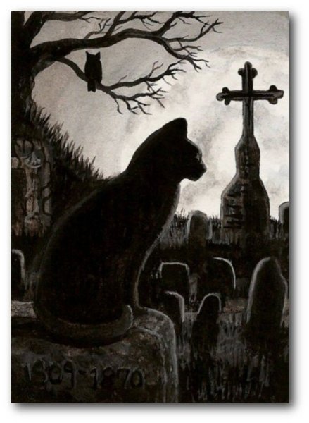 Чёрная кошка с красными глазами