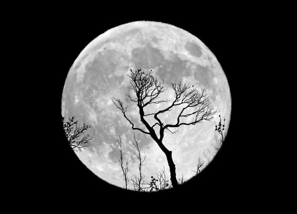 Полная Луна эскиз