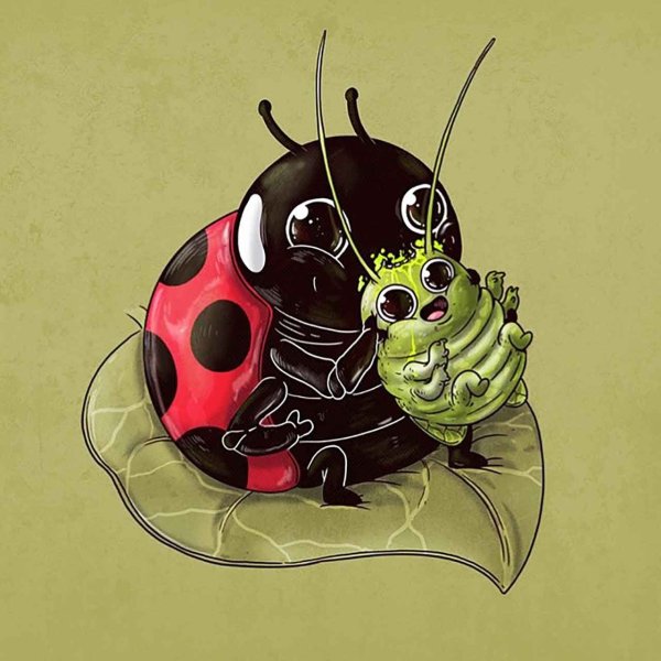 Алекс Солис (Alex Solis) - милота