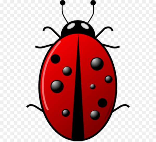 Мордочка Божьей коровки