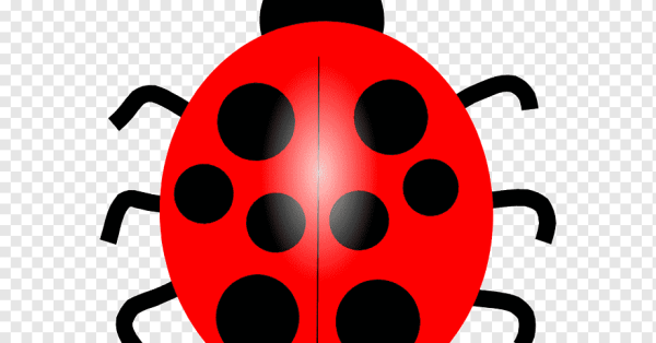 Божья коровка для детей 2-3 лет