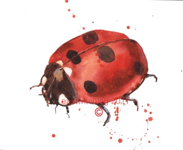 Божья коровка акварелью