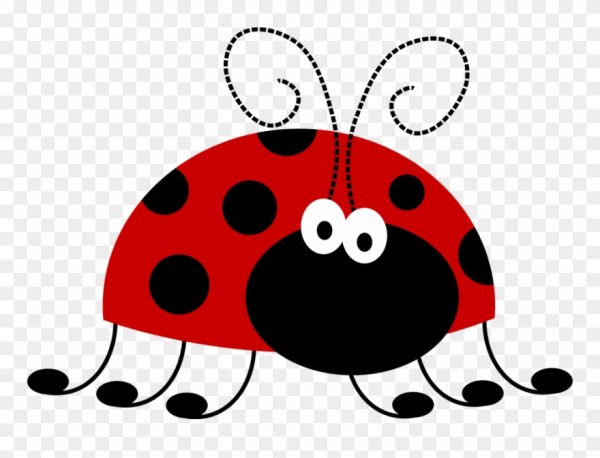 Глазки для Божьей коровки